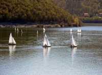 Bovansko jezero Regata